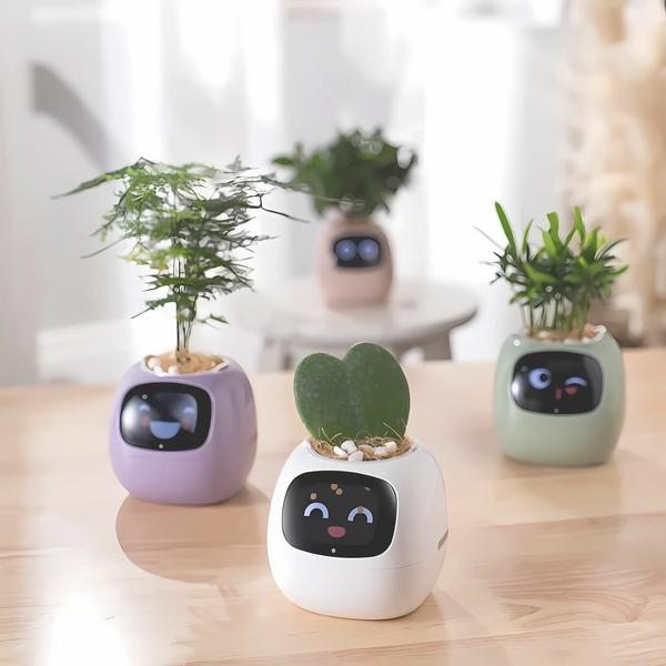 iilora Smart Happy Planter